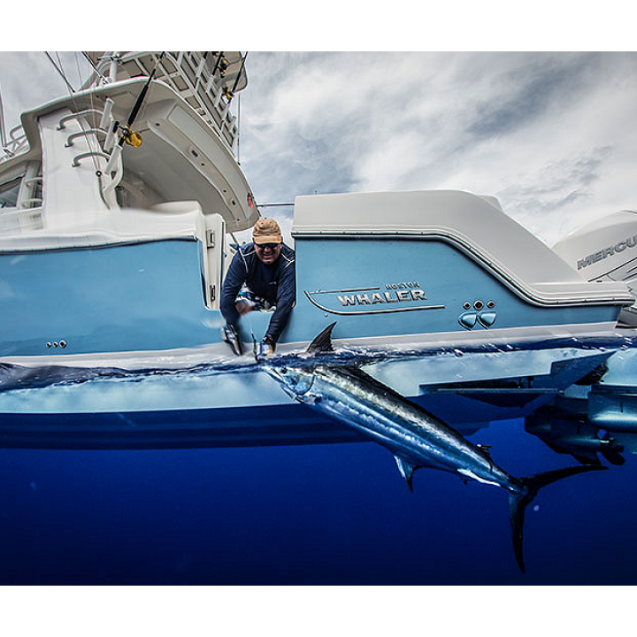 Boston Whaler