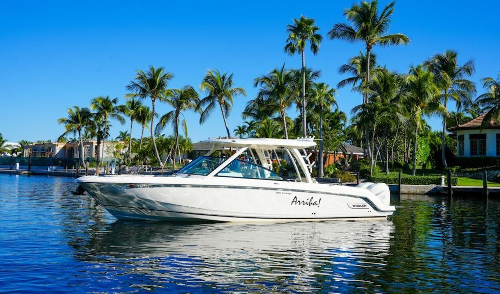 Boston Whaler 320 Vantage 2016 Arriba Key Largo FL for sale
